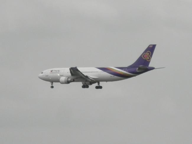 P8100035.JPG